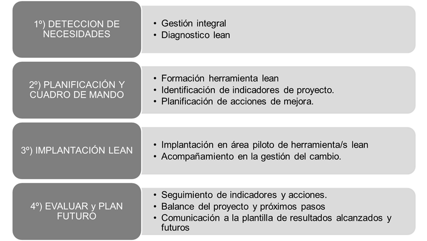 estructura del programa