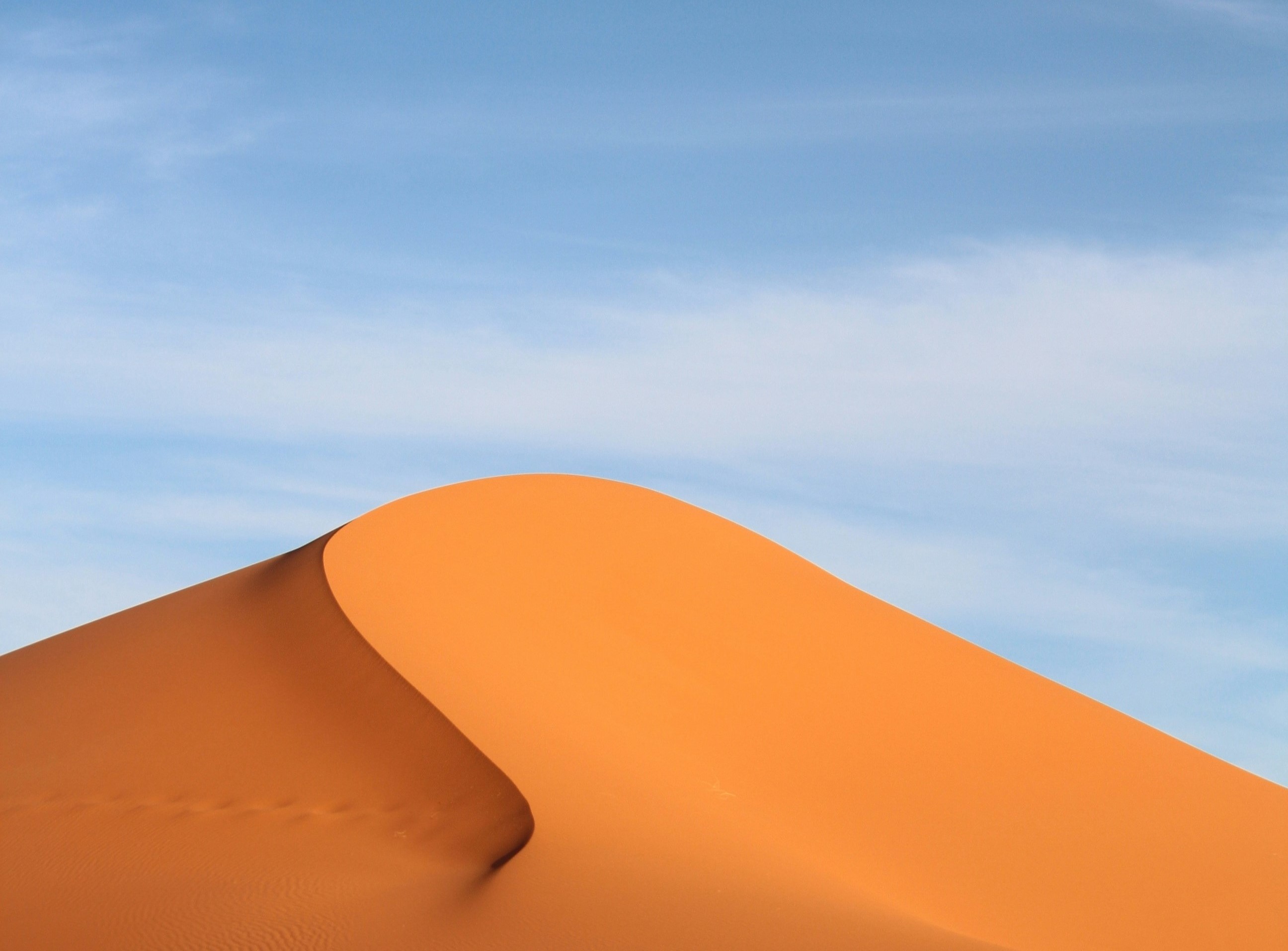 Cultivando un Oasis Mental: El Papel Vital de la Salud Mental en el Mundo Empresarial